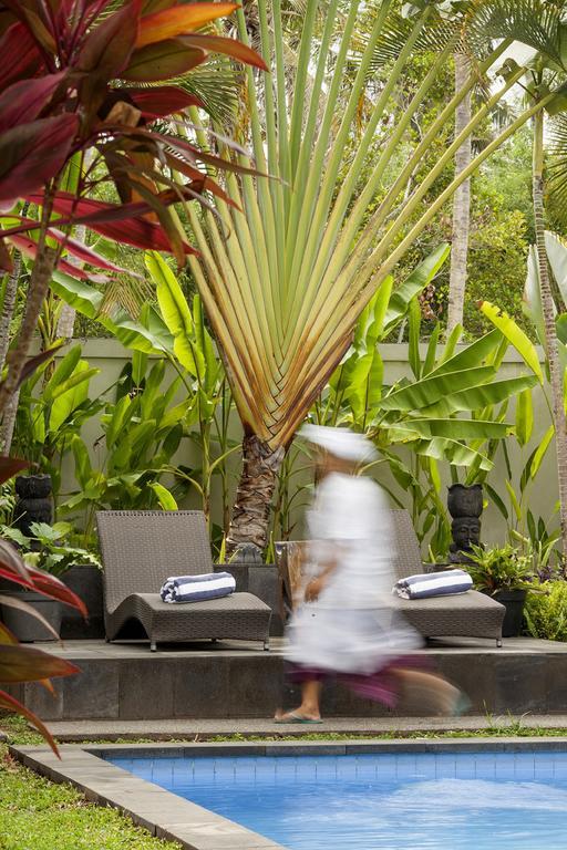 Esterin Villa Ubud Habitación foto